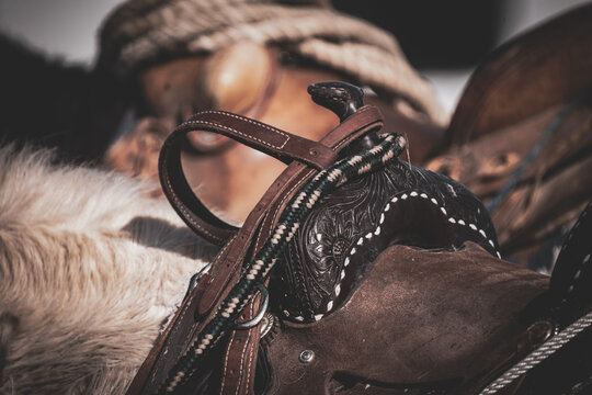 closeup of horn of western saddle with bridal hanging from saddle