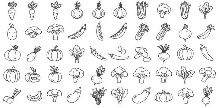 A collection of various vegetable illustrations in a simple line drawing style on a white background