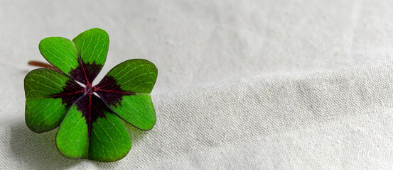 Gl&uuml;cksklee Gl&uuml;cksbringer mit Platz f&uuml;r Text zum Beschreiben