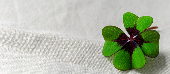 Gl&uuml;cksklee Gl&uuml;cksbringer mit Platz f&uuml;r Text zum Beschreiben