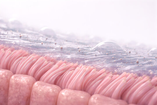 Photorealistic 3D visualization of the human oropharynx and upper throat showing mild phlegm buildup: a thin translucent mucus film and a few subtle stringy strands on the posterior pharyngeal wall