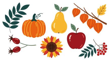 A vibrant autumnal arrangement featuring fruit, flowers, and foliage in a decorative display from a top-down viewpoint © John