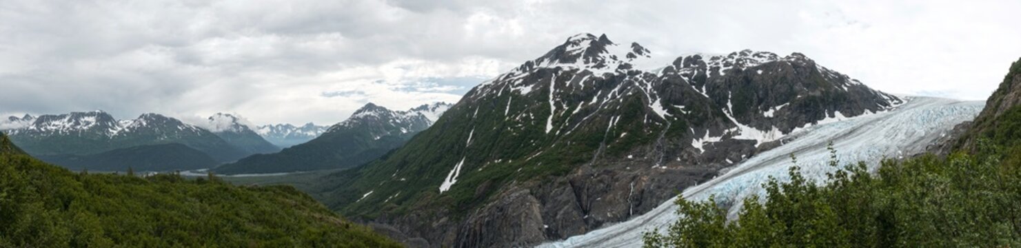 Exit Glacier Panoramic
