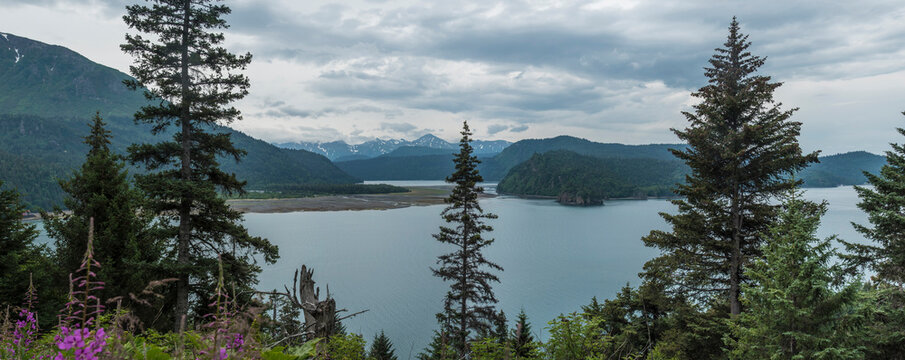 Saddle Trail, Alaska Panoramic