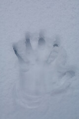 Human handprint in deep fresh white snow close-up on a cold winter day