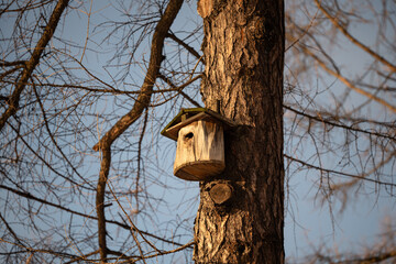 Handmade wooden nest box attached to tree trunk, special for wintering birds organized in public city parks, seasonal home for small owls, woodpeckers, tits and squirrels to live in winter season. © DimaBerlin