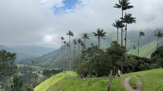 The Beautiful Cocora Valley