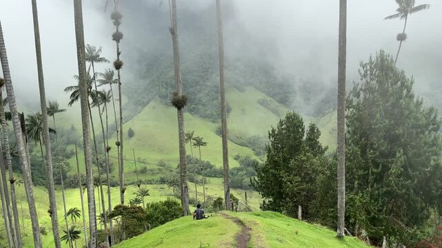 The Beautiful Cocora Valley
