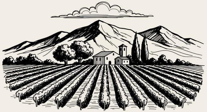 Vineyard landscape with farmhouse and mountains in the background, illustration