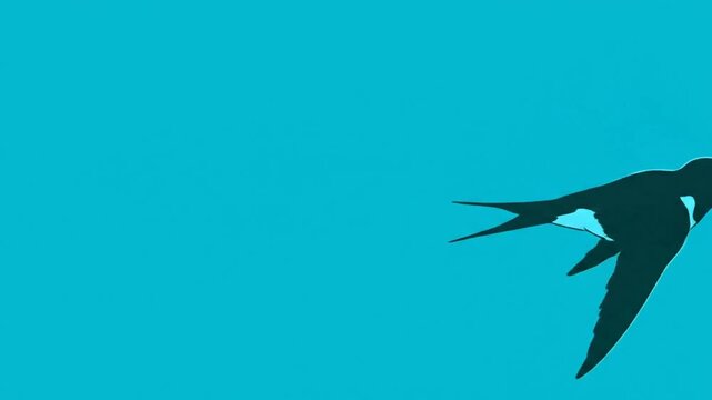 Animated Swallow Bird Flying Across a Clear Blue Sky.