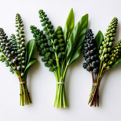 Obraz premium Fresh green herbs tied with twine, isolated on a white background