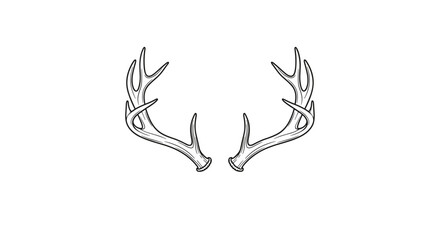 Obraz premium A pair of deer antlers on a in a line art style