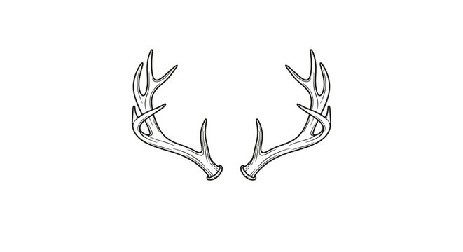 A pair of deer antlers on a in a line art style