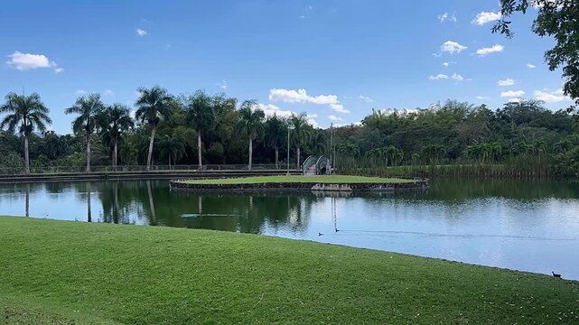 calm tropical park lake with palm trees grassy shoreline and reflective water under blue sky