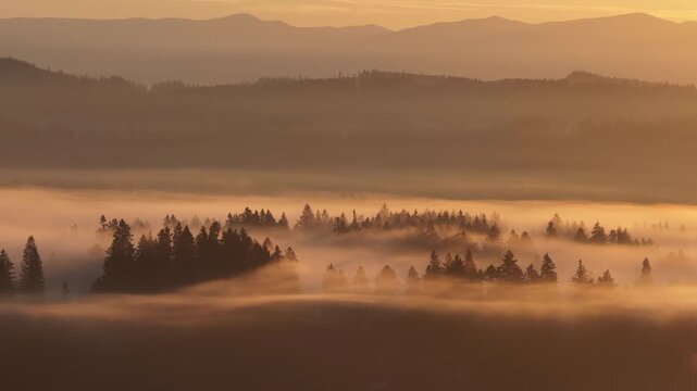 A blanket of fog drifts through the Willamette Valley just south of Portland, Oregon. The Pacific Northwest is known for its scenic forests, waterfalls, and rivers, as well as its wet weather.