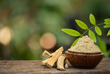 Dried Eurycoma longifolia Jack or Tongkat Ali roots ,powder and branch green leaves on natural background.