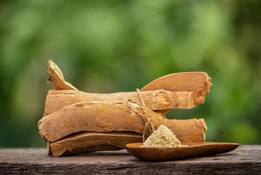  Dried Eurycoma longifolia Jack or Tongkat Ali roots and powder on natural background.