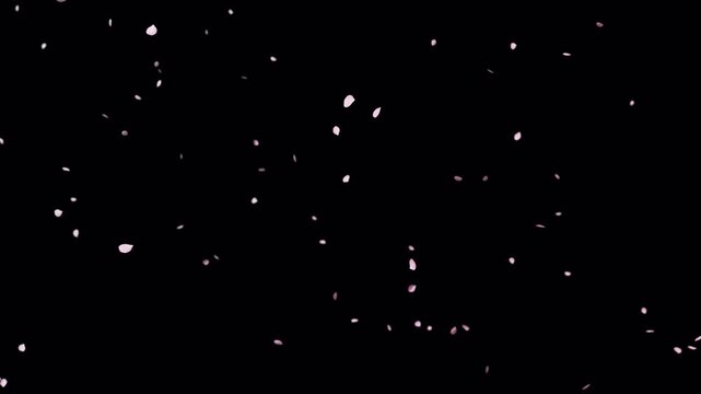 Cherry blossom petal particles blowing freely in the wind (alpha included)