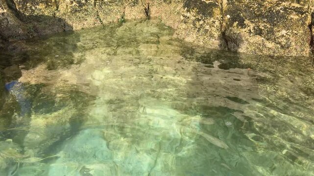 Crystal clear water in a natural pool among rocky shores on the island of Saint Martin, Caribbean Sea.