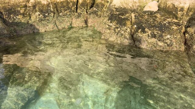 Crystal clear water in a natural pool among rocky shores on the island of Saint Martin, Caribbean Sea.