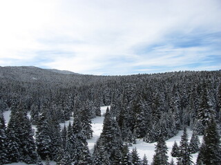 Fototapeta premium Snowy Forest Hills and Mountain Range / Karlı Orman Tepeleri ve Dağ Silüeti