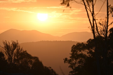 Fototapeta premium Golden sunset. Australia. Eucalypt tree. Summer. Copy Space. Looking west over the Brindabella Mountain Range, Canberra, ACT. Silhouette tree, layered mountains. 