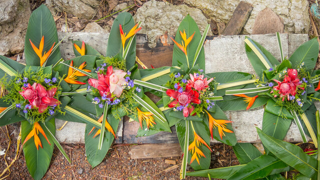 Floral arrangements of torch ginger (Etlingera elatior), also known as emperor's staff