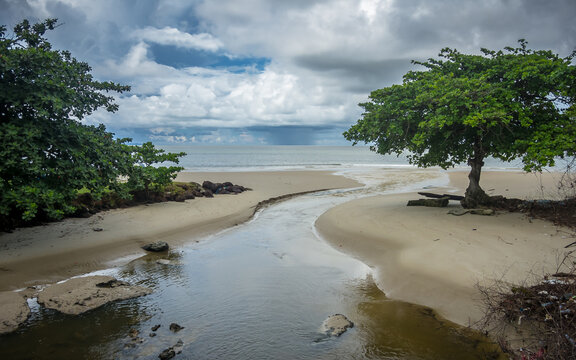 mouth of a stream into the sea with trees on the sides and storm clouds in the background