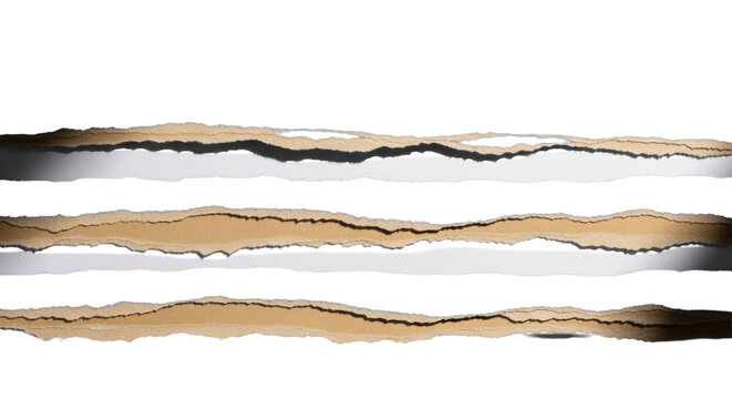 macro shot of three parallel sapphire blue paper strips, hand-torn to reveal pale tan kraft reverse side, isolated on white, raking studio light emphasizes texture. graphic design element concept