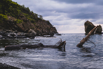 Dark Coastal Landscape with Tree Trunk in Water. Moody Bay Scene with Fallen Tree Trunk. Whole Tree Trunk on the Shore in a Gloomy Bay. Lonely Tree Trunk at the Coast Under Overcast Sky. 