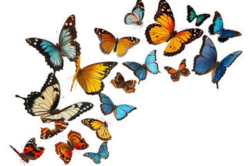 Fototapeta premium School of flying butterflies isolated, colorful wings, realistic macro detail