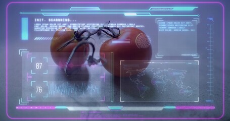 Scanning pair of ripe tomatoes on short vine at matte gray tabletop, showing HUD reticle