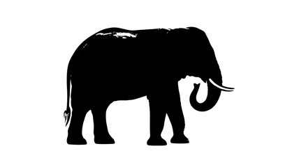 Fototapeta premium Elephant Silhouette Profile in Simple Elegant Black on for Wildlife Conservation isolated on a transparent background