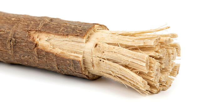 Fibrous Wood Chew Stick. Natural Bark, Miswak Alternative.
