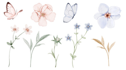 Watercolor floral set with soft pastel flowers butterflies and thin stems in pink beige and blue tones. Illustration for invitations, postcards, packaging labels, stationery or gentle spring designs. © Evgeniia