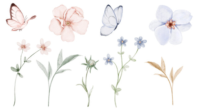 Watercolor floral set with soft pastel flowers butterflies and thin stems in pink beige and blue tones. Illustration for invitations, postcards, packaging labels, stationery or gentle spring designs.
