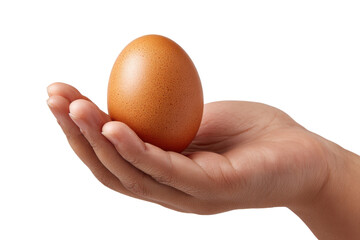 Brown chicken egg resting in an open palm against a black background oval, Png, Isolated on Transparent Background, Cut Out