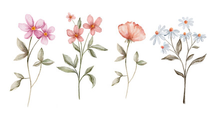 Watercolor set of delicate wild flowers with thin stems and soft pastel petals in pink peach and blue tones. Illustration for invitations, postcards, packaging, stationery or gentle floral designs.