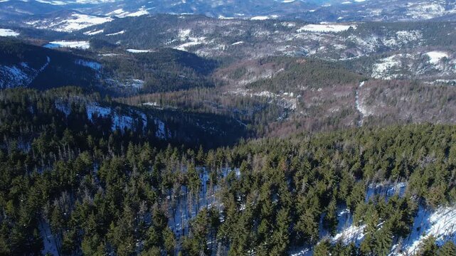 Drone flight showcasing vast evergreen forests and rolling hills in Beskid Slaski.