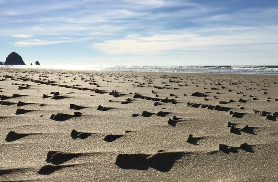 Wind blown sandy beach