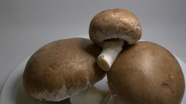 Fresh mushrooms rotate slowly on a white plate in a studio, showcasing their smooth caps and natural textures from a close-up perspective.