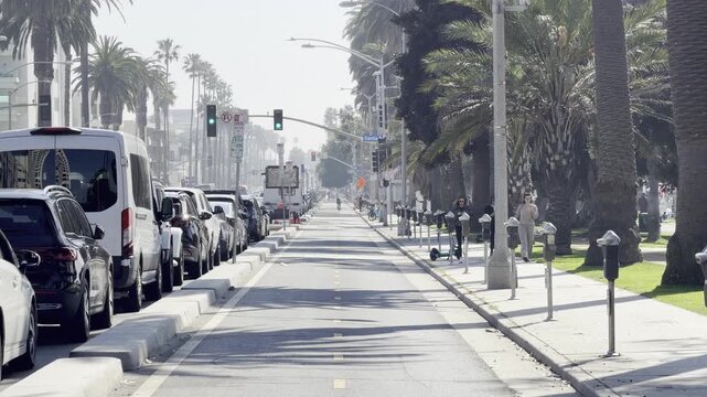 Palm tree-lined protected bike lane in downtown Santa Monica