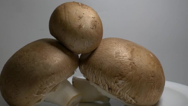 Fresh mushrooms rotate slowly on a white plate in a studio, showcasing their smooth caps and natural textures from a close-up perspective.
