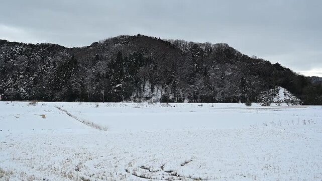 雪の伊吹山麓を走る315系普通列車 （東海道本線 近江長岡 - 柏原, 2026年1月）