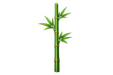 Growing green bamboo stem with vibrant leaves, symbolizing nature, ecology, asian culture, and sustainability, on transparent background