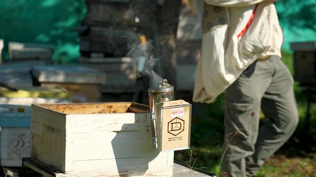 Bee smoker by the hive calming down the bees
