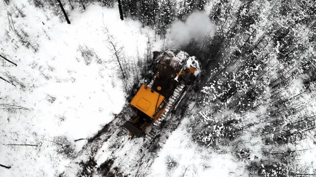 A yellow bulldozer clears snow-covered forest, creating a path through tall trees in a winter outdoor setting. drone