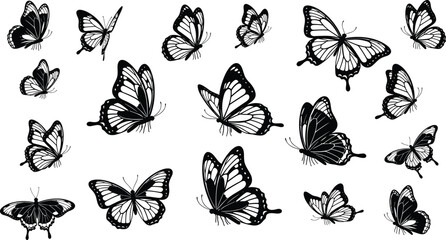 Butterfly silhouette vector collection with flying poses, black and white insect illustration set isolated on white background for design branding © Heyyy
