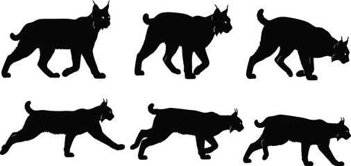 Wild lynx silhouette vector set with multiple walking and running poses, black bobcat wildlife illustration collection isolated on white background © Heyyy