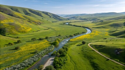 Obraz premium Serene Winding River Through Lush Green Valley with Wild Yellow Flowers